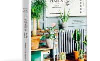 植物生活家：室内绿植搭配指南