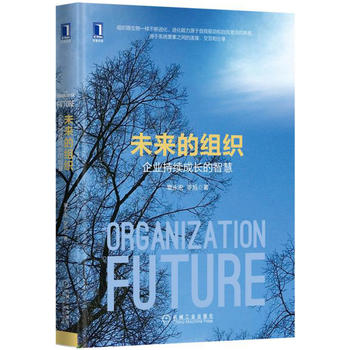 未来的组织：企业持续成长的智慧